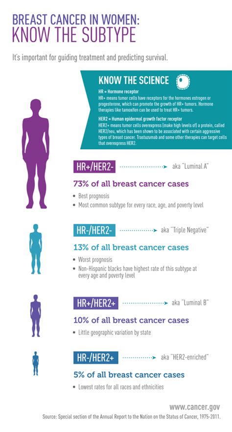 Breast Cancer In Women Know The Subtype Black Health Matters