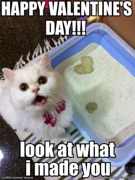 Searching For Valentines Day Memes Choose From Our Collection Of Cute