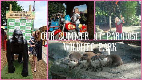 Our Summer At Paradise Wildlife Park Youtube