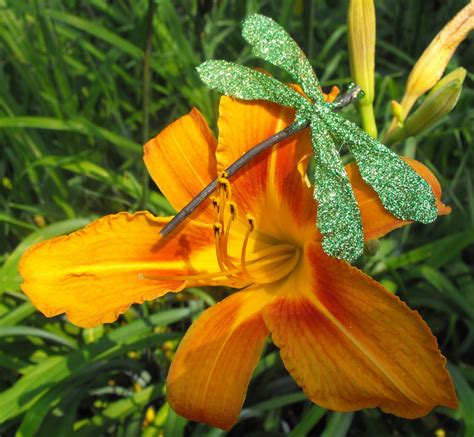 Maybe you would like to learn more about one of these? CW: Dragonfly Embellishments - Inspiration Made Simple