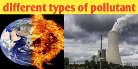 What Are Different Types Of Pollutants And Their Definition Biologysir