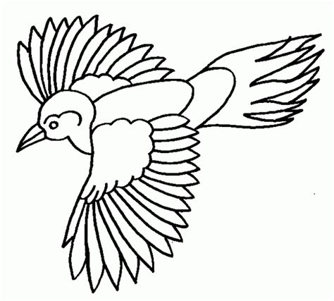 Dibujo De Aves Para Colorear Dibujos Infantiles De Aves Colorear Aves