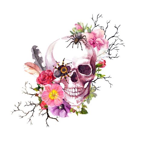 Human Skull With Flowers And Feathers Boho Style Watercolor Stock
