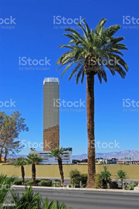 Huge Hotel Tower And Palm Tree In Las Vegas Usa Stock Photo Download