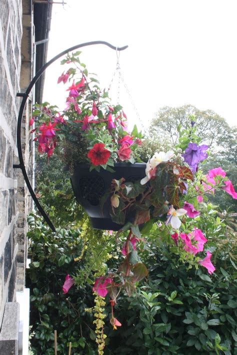 Utilizing hanging baskets around your home or garden is a great way to create different levels for your space, as well as draw your guest's attention. How to Plant Hanging Baskets | Garden Features Ideas