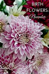Many months also have more than one flower that represents them — though the reason why remains a mystery. Birth Flowers: November - chrysanthemums | Birth month ...