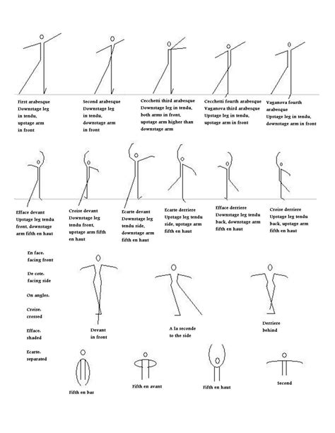 Ballet Body Positions