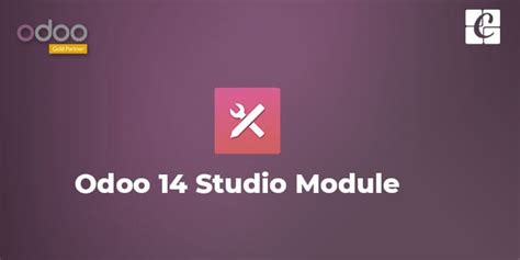 Many clients use different accounting. Odoo 14 Studio Module