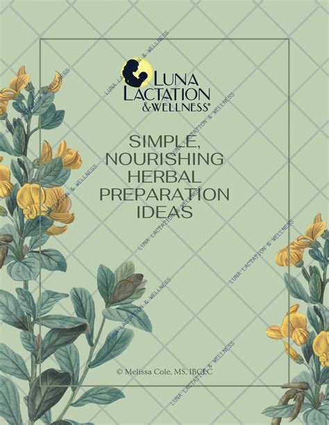 Simple Nourishing Herbal Preparation Ideas Luna Lactation Wellness