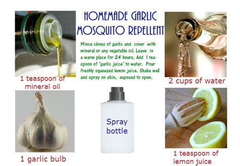 Make Mosquito Repellent Diy To Protect Yourself From Bites
