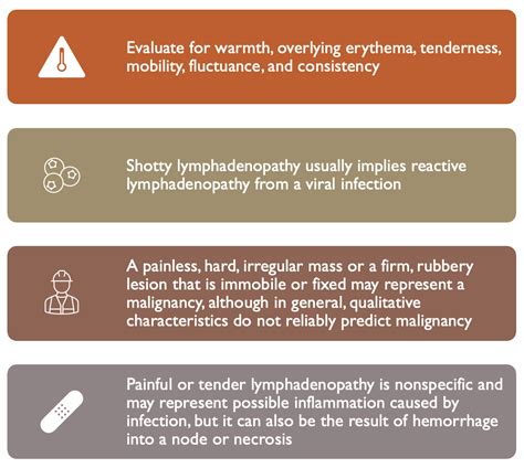 Lymphadenopathy Everything You Need To Node Brown Med Peds
