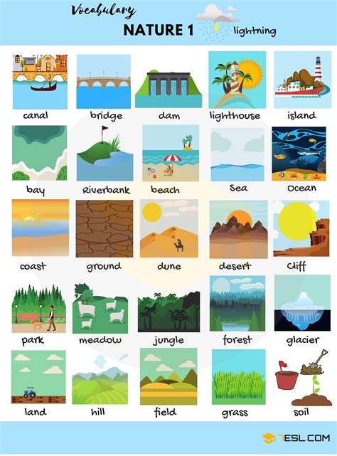 The Natural World Vocabulary In English With Pictures 7esl
