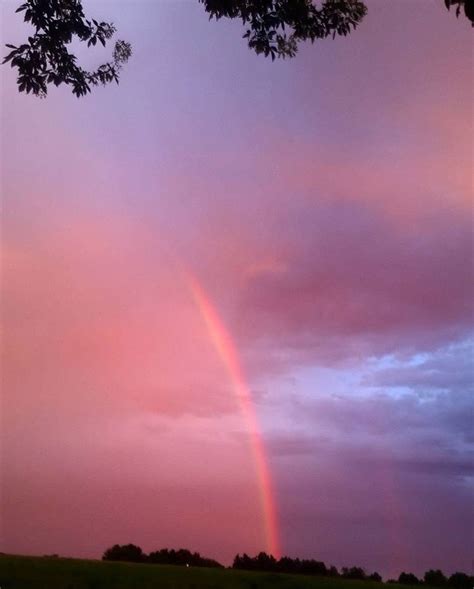 Kansas Rainbow 空