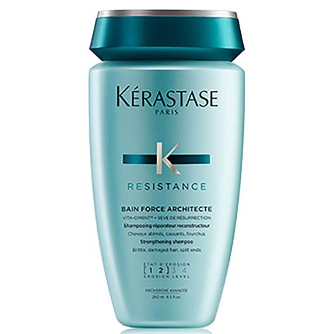 Kérastase Resistance Bain Force Architecte 250ml | Free ...