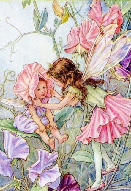 Classic Flower Fairies Vintage Fairies Fairy Pictures