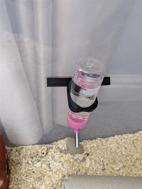 Pin By Lauren Macdougal On Rat Core In 2024 Hamster Water Bottle
