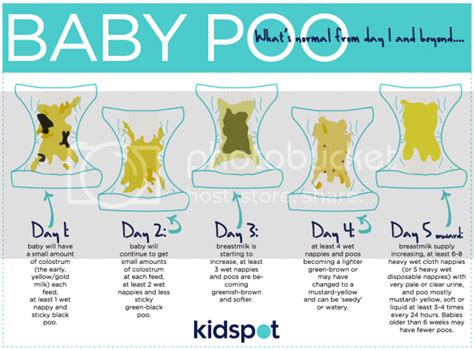 Breastfed Baby Poop Chart