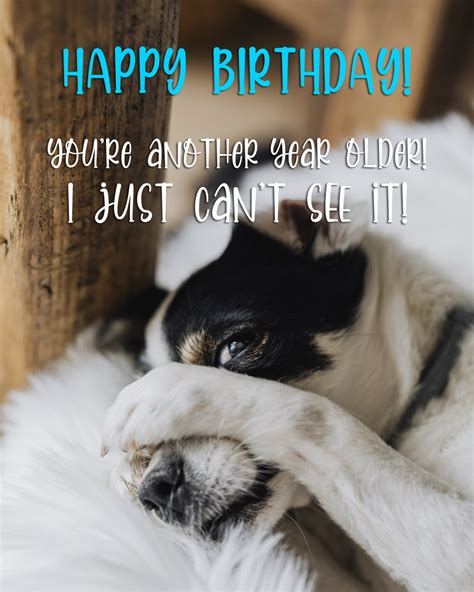 Free Happy Birthday Image For Him Man With Funny Dog