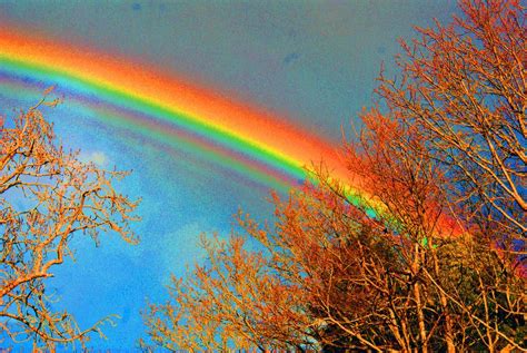 Supernumerary Rainbow A Rare Phenomenon In Which Several