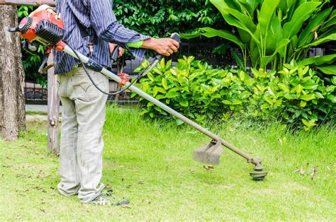 Lawn care services costs about $55/hr, with average prices ranging from $30/hr to $80/hr in the canada for 2020 according to homeadvisor. Lawn Treatment | Lawn Care - Frank's Lawn & Tree Service