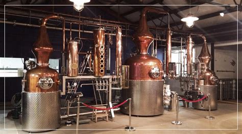 What Is Gin Made From And How Is It Distilled A Guide To Gin