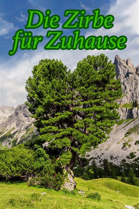 Sie suchen nach zuverlässigen informationen über den ablauf, die auswirkungen und chancen von insolvenzverfahren? Mit dem Zirbenlüfter die Wirkung der Zirbe nach Hause ...