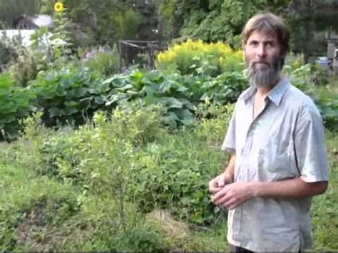 In this study, fourier transform infrared spectroscopy was used to discriminate the effects of different extraction methods. Zero Blight/Mildew on squash w/ Horsetail/Equisetum - YouTube