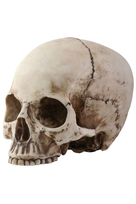 Hi kali ini kita belajar menggambar tato tengkorak berjubah ayo dukung cenel ini dengan cara subscribe komen dan like biar kita semangat ngegambar nya. Skull PNG images free download