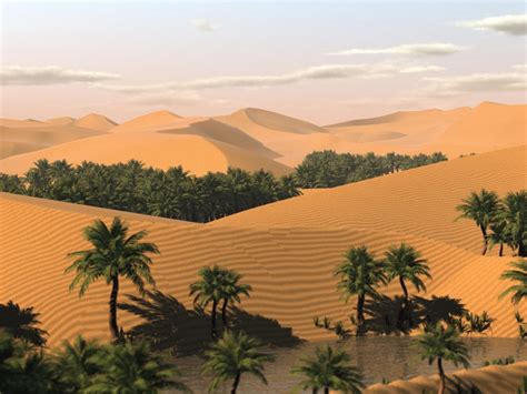 What future for africa's last colony. The Sahara Desert: November 2013