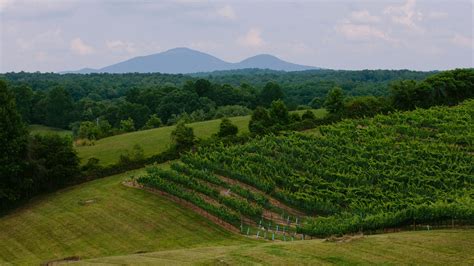 North Of Atlanta A Trove Of Wineries The New York Times