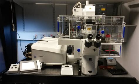 Zeiss Lsm 880 Confocal Microscope Cruk City Of London Cancer Centre