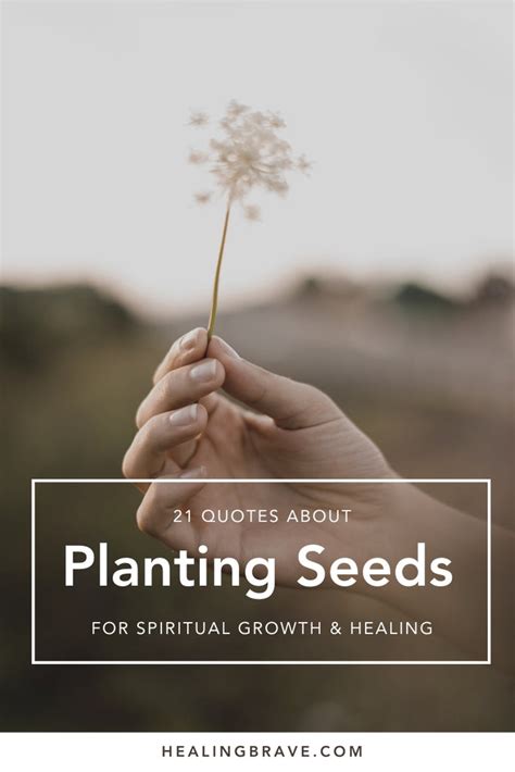 21 Quotes About Planting Seeds For Spiritual Growth Healing Brave