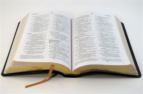 Revised Standard Version Catholic Bible Rsv Ce Paperbound