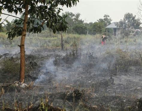 Polda Riau Tetapkan Tiga Tersangka Pembakar Lahan