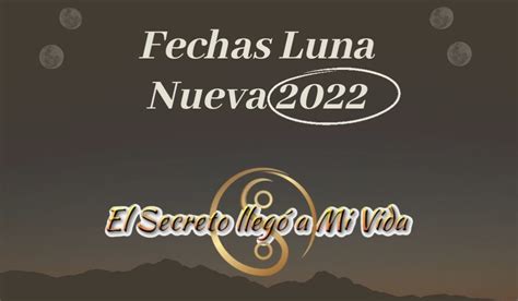 Fases Luna Nueva 2022 Cheque De La Abundancia