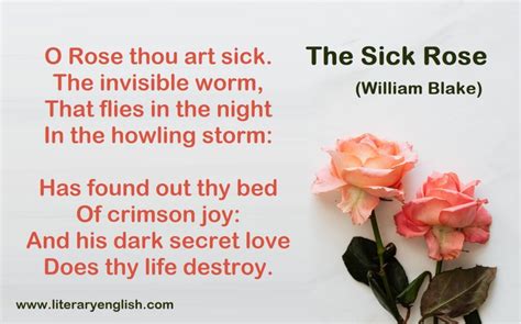 Summary And Analysis Of The Sick Rose William Blake Literary English
