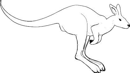 Australian Animals: simple kangaroos | Animal outline, Kangaroo drawing