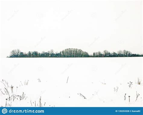 Winter Field And Forest Stock Photo Image Of Frost 135253328