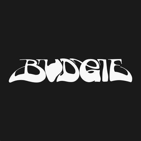 Budgie Band Logo By Arhipov Rp On Deviantart