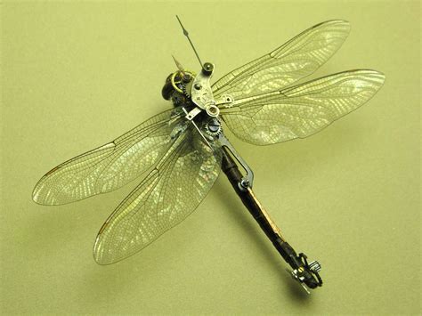 Mechanical Dragon Fly Insects Dragonfly Steampunk Art
