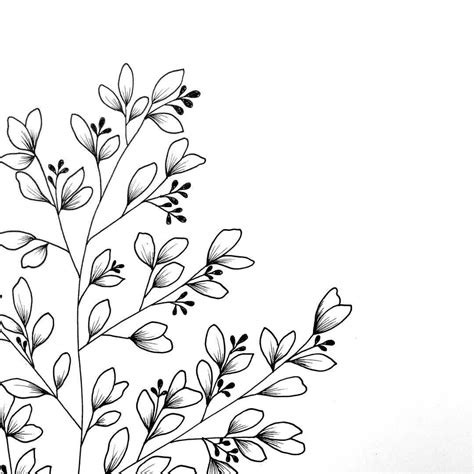 Free for commercial use no attribution required high quality images. Botanical illustration www.gooseberrymoon.co.uk | Flower ...