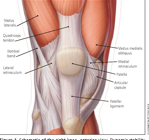 On the side of the foot are. Figure 5 from Management of patellofemoral pain syndrome ...