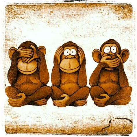 Three Monkeys To Help You Stay Sane When You Witness The Insanity Of
