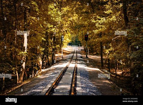 Railroad Single Track Through The Woods In Autumn Sunlight Fall