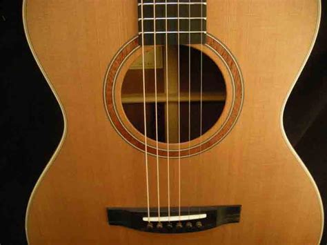 Paramount Guitars Instrument Detail Lakewood M 14