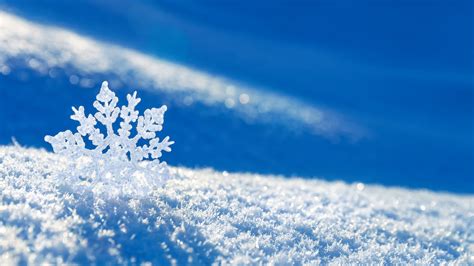 Free Download 38 Tip Of The Day Cautions Winter Background Wallpaper In
