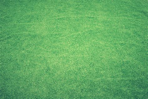 Lawn Grass Artificial Free Photo On Pixabay Pixabay
