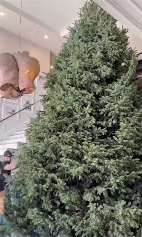 Kylie Jenner Impresses With Massive Christmas Tree
