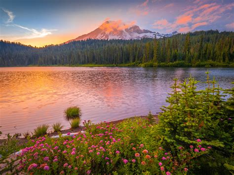 Mount Rainier National Park Reflection Lakes Sunset Colorf Flickr