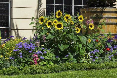 Add Happy Vibes To Your Home With 28 Beautiful Sunflower Garden Ideas